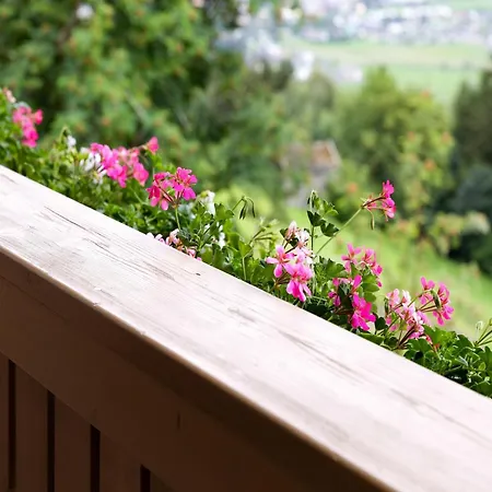 Stunning Near Forest In Daire Mittersill