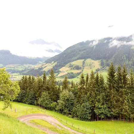 Stunning Near Forest In Daire Mittersill