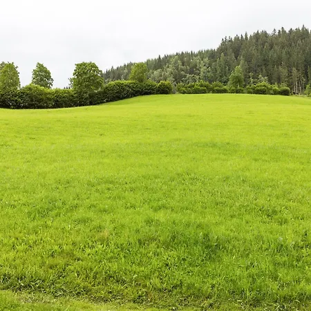 Daire Stunning Near Forest In
